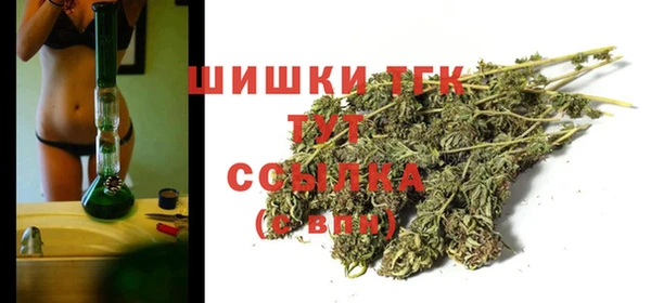 стаф Белоозёрский